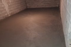 20230302_065933-scaled